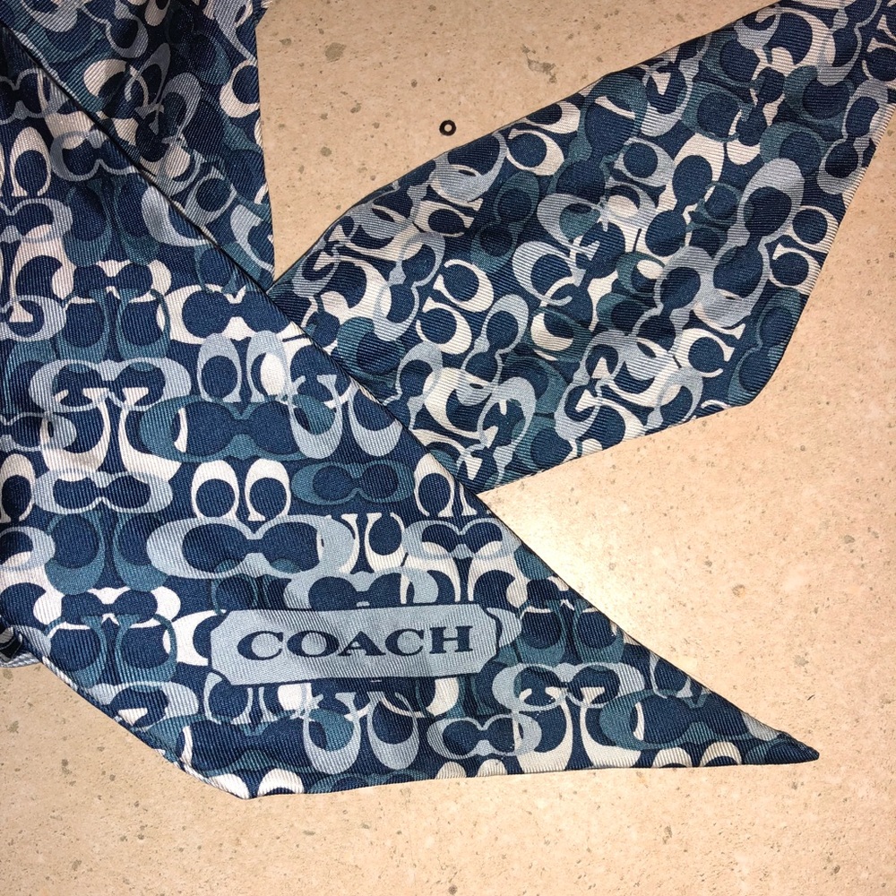 Blue Coach Purse Scarf